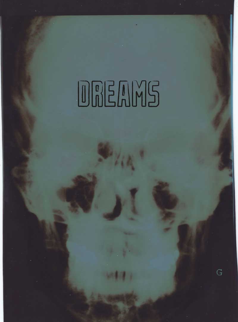 book cover for DREAMS