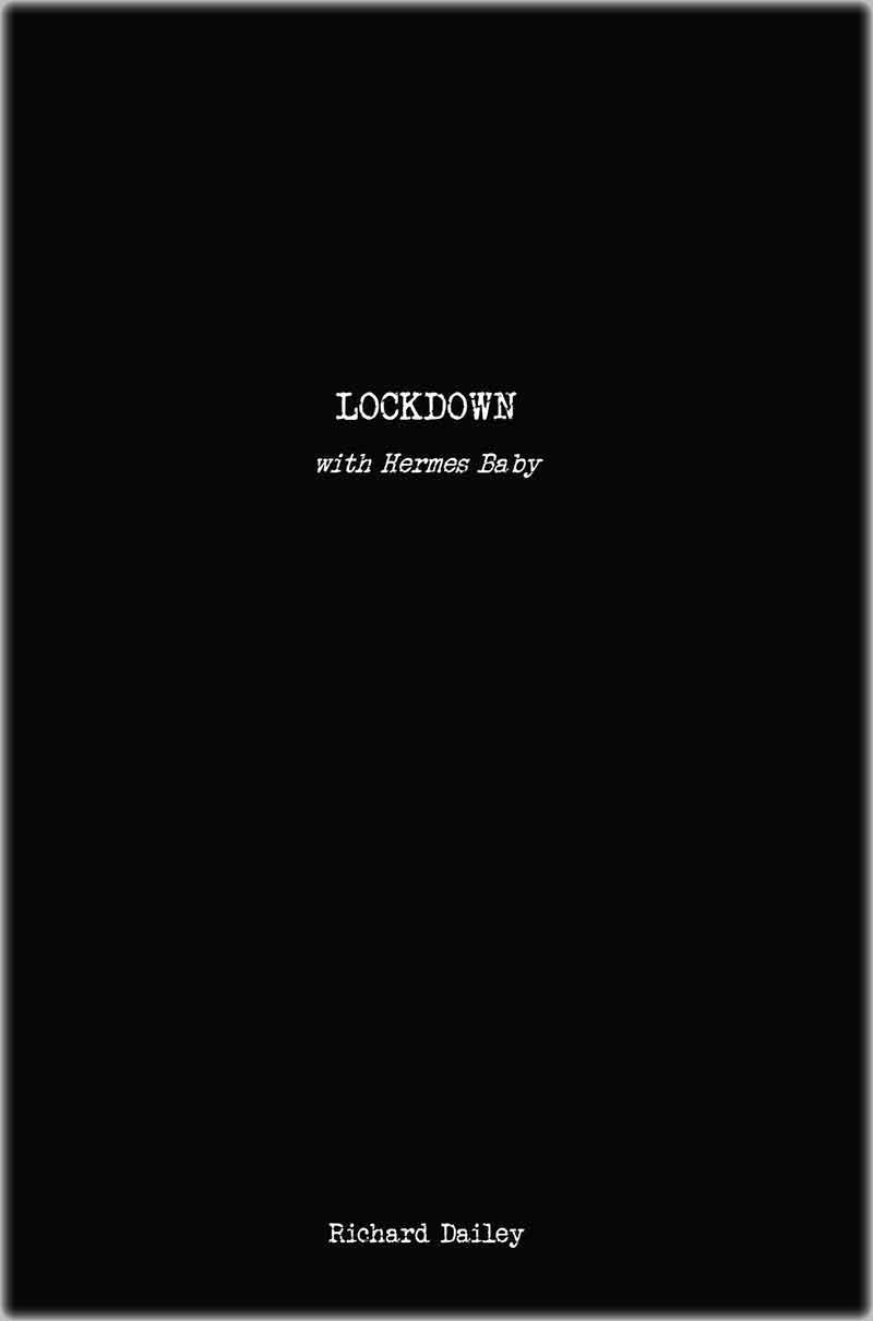 book cover for LOCKDOWN
